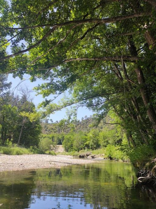 Gite Et Jardin En Bord De Riviere Saumane Εξωτερικό φωτογραφία