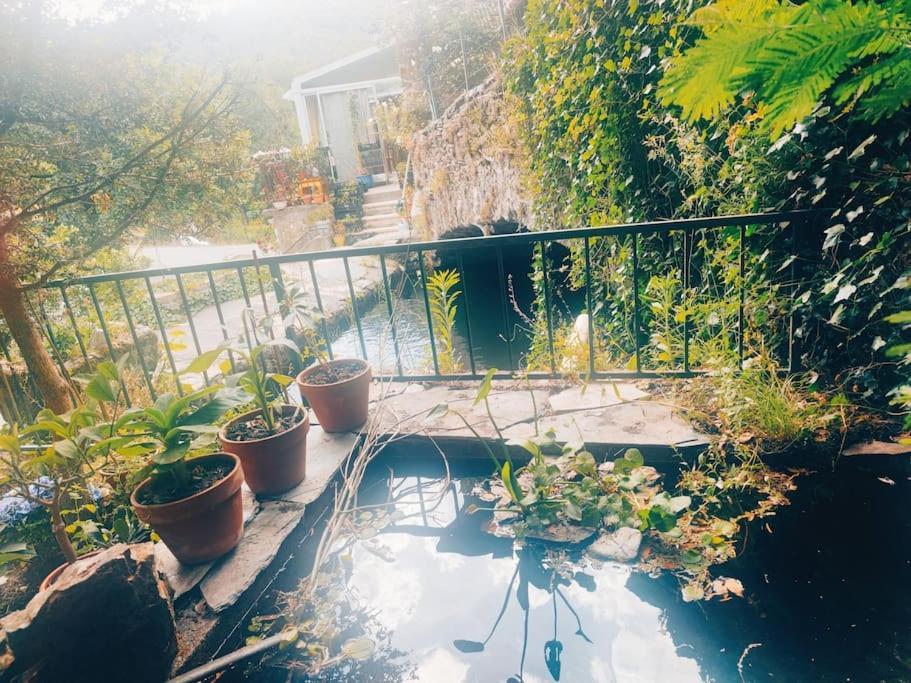 Gite Et Jardin En Bord De Riviere Saumane Εξωτερικό φωτογραφία