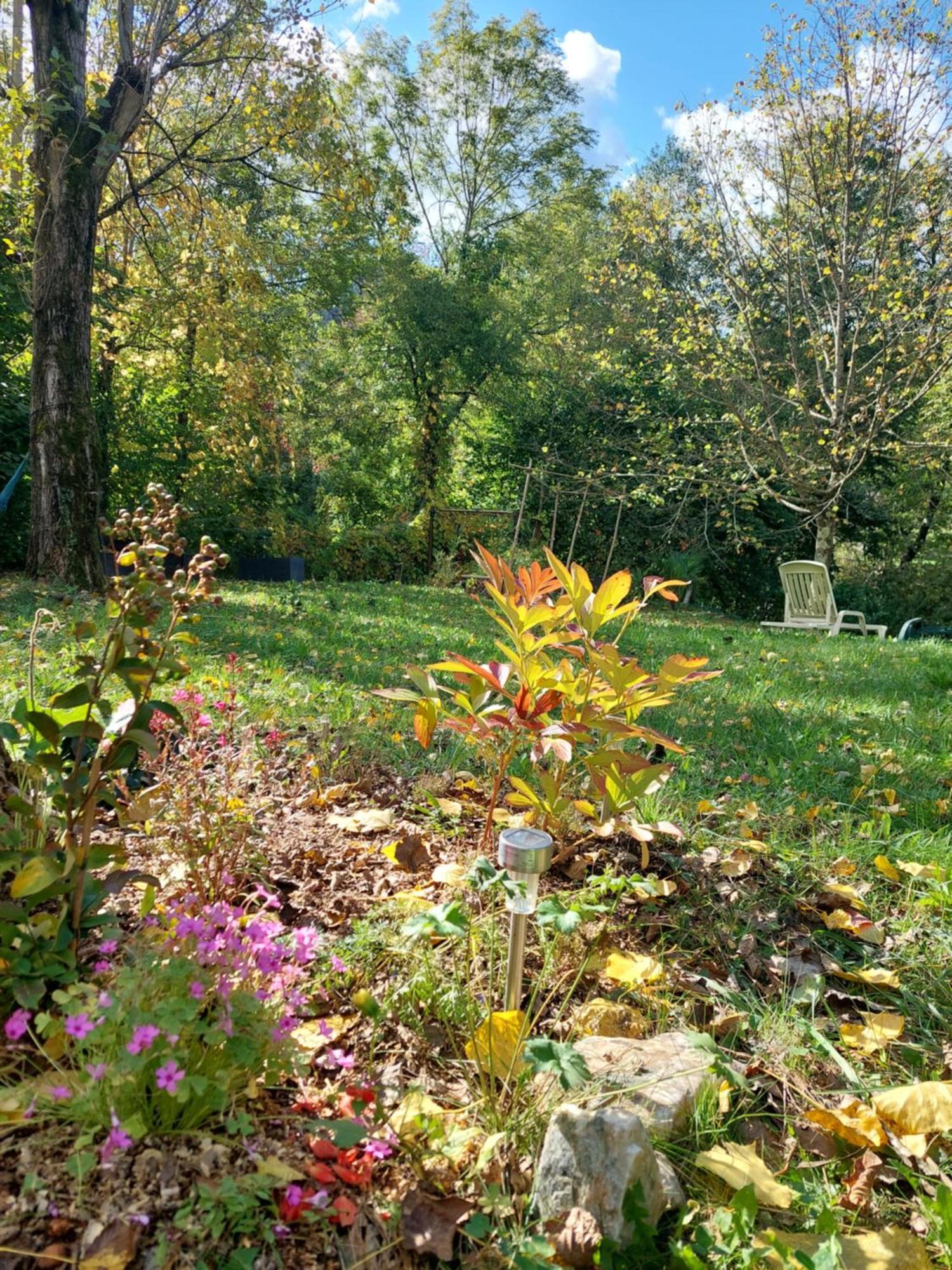 Gite Et Jardin En Bord De Riviere Saumane Εξωτερικό φωτογραφία
