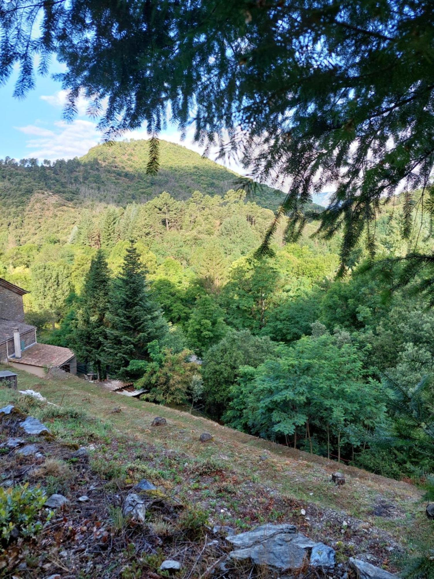 Gite Et Jardin En Bord De Riviere Saumane Εξωτερικό φωτογραφία