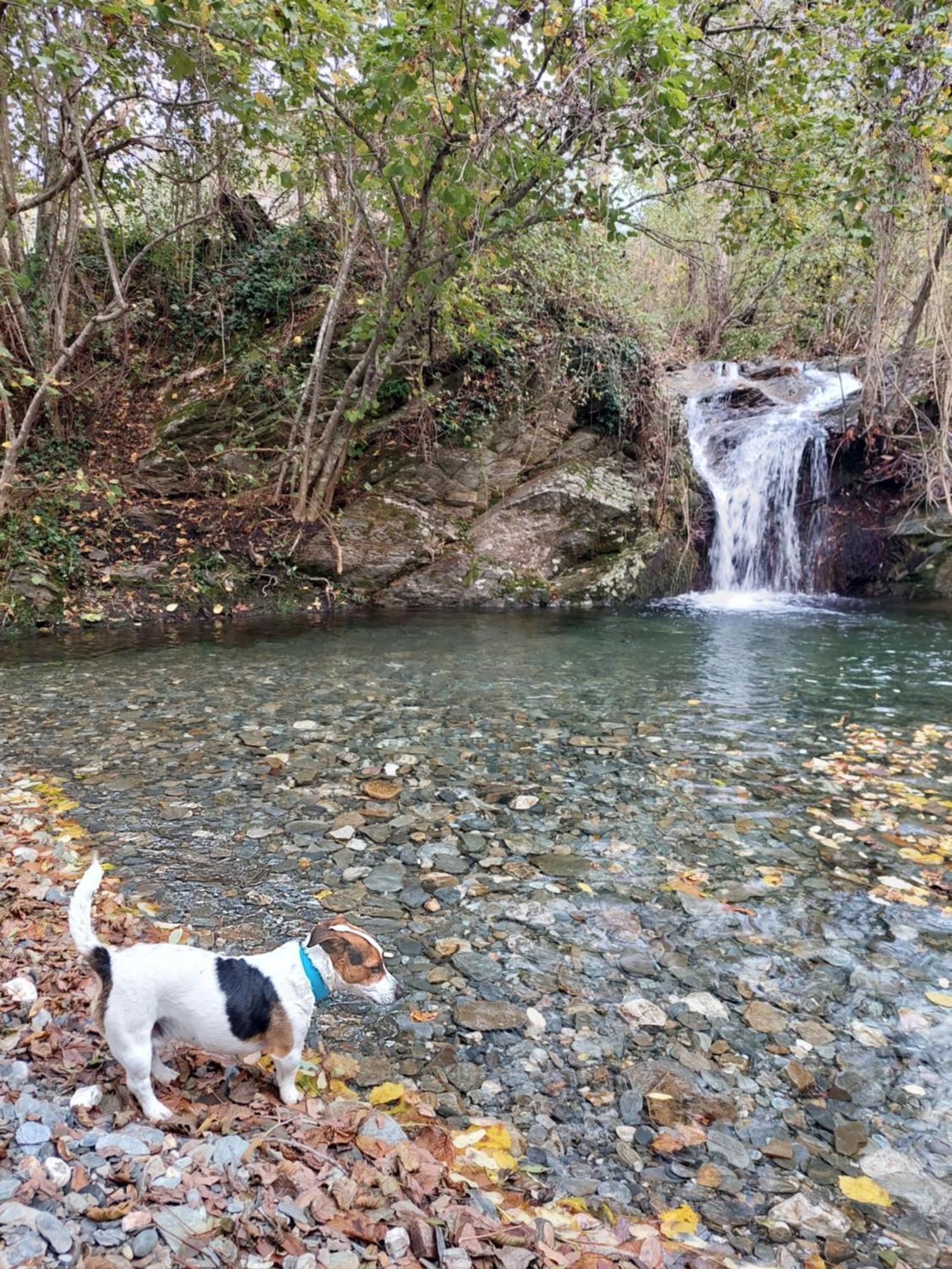 Gite Et Jardin En Bord De Riviere Saumane Εξωτερικό φωτογραφία